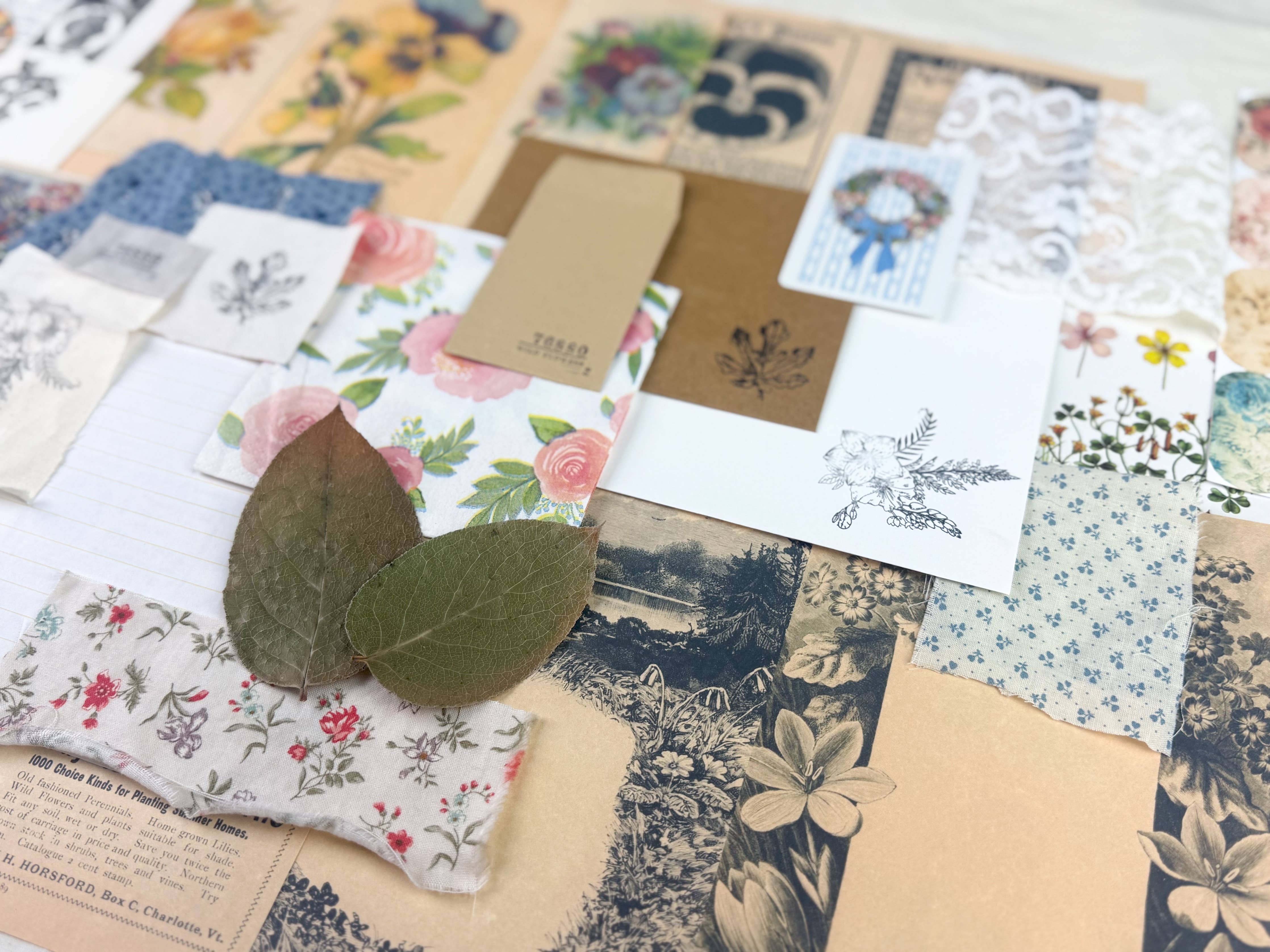 Botanical & Nature Ephemera Kit | Junk Journal Supplies | Vintage Floral Collage A House of Books