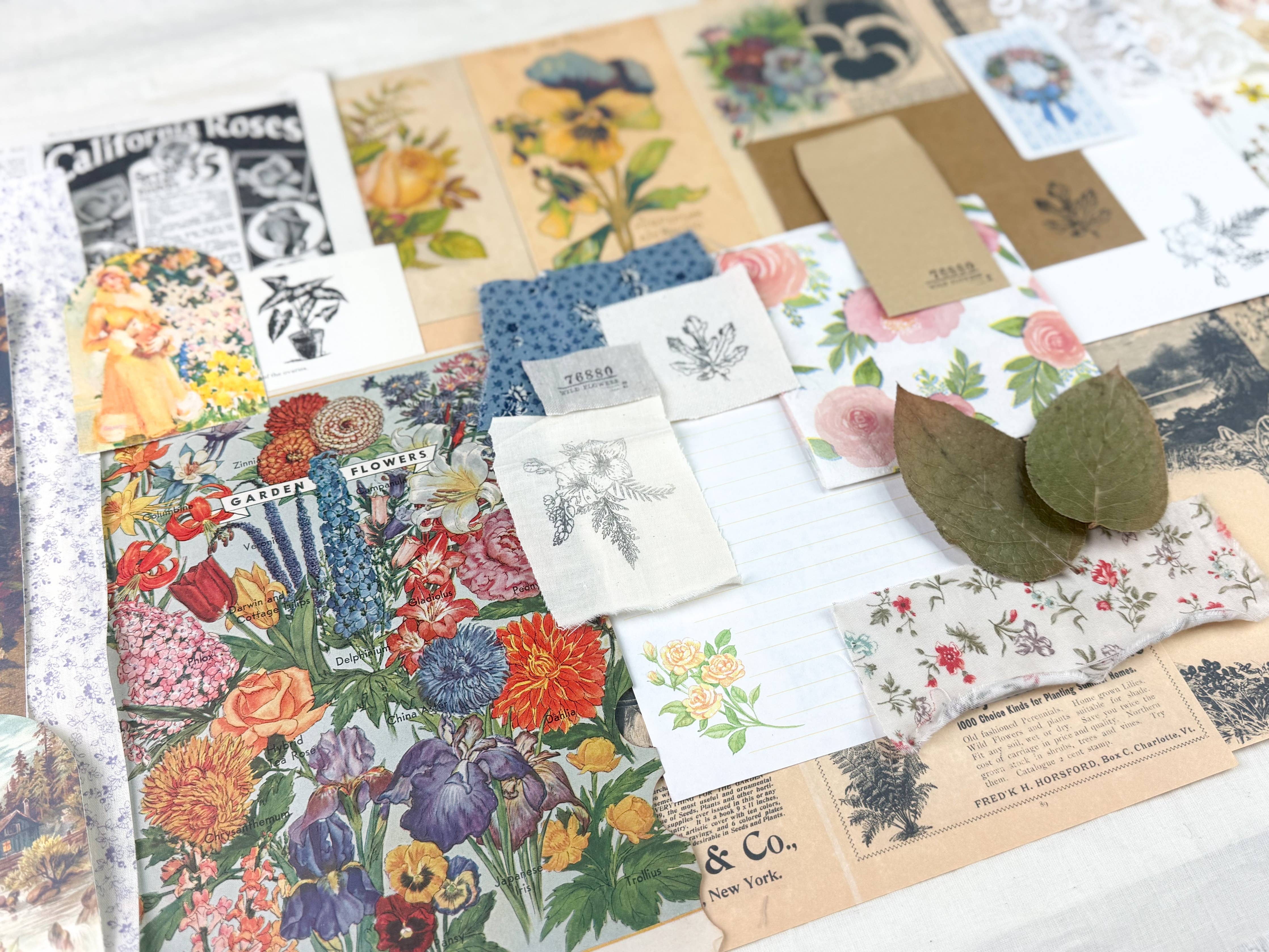 Botanical & Nature Ephemera Kit | Junk Journal Supplies | Vintage Floral Collage A House of Books