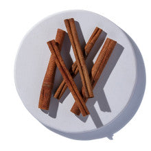 Cinnamon sticks Anthro Apothecary