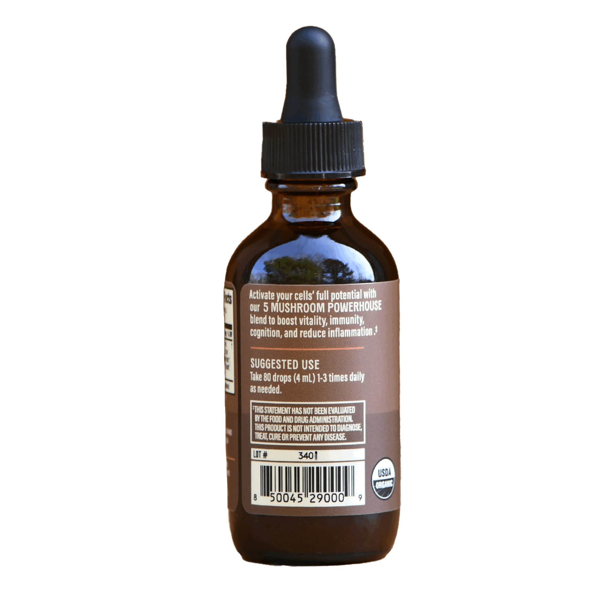 Mushroom & Roots: Daily Immune + Mind + Vitality Elixir