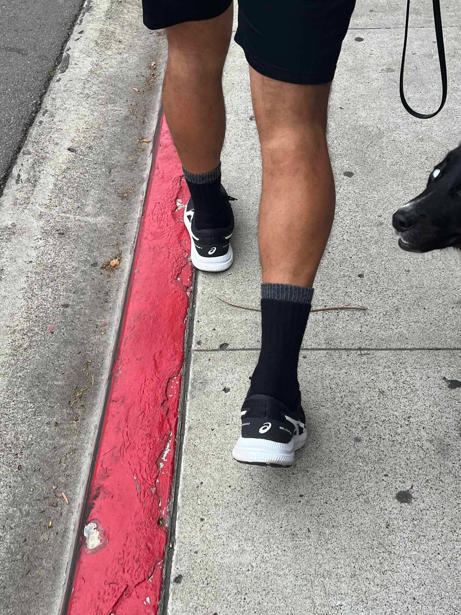 Men's Alpaca Outdoor Adventure Socks | 100% Natural | Made in USA Choice Alpaca Products