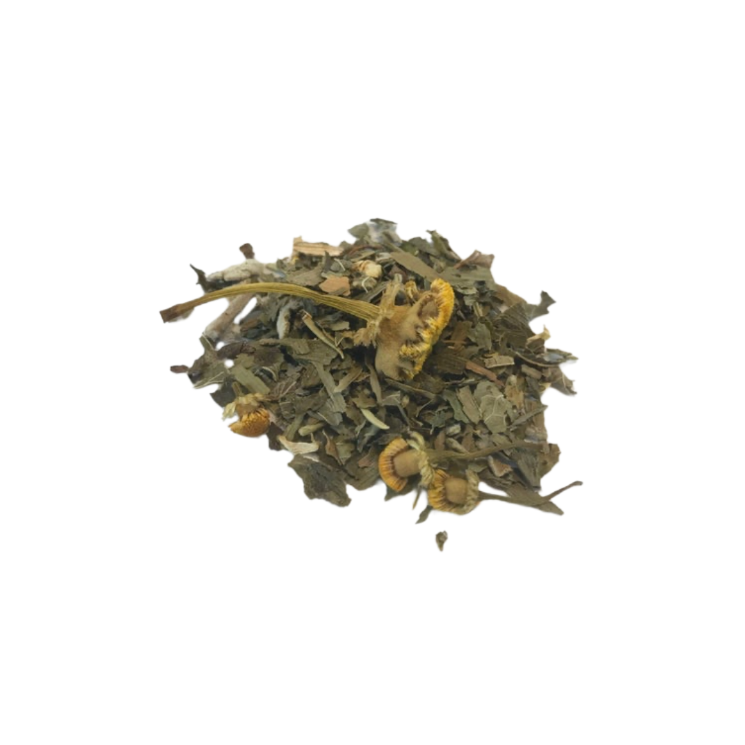 Focus & Clarity Tea | Herbal Brain Blend 1 oz bag Anthro Apothecary