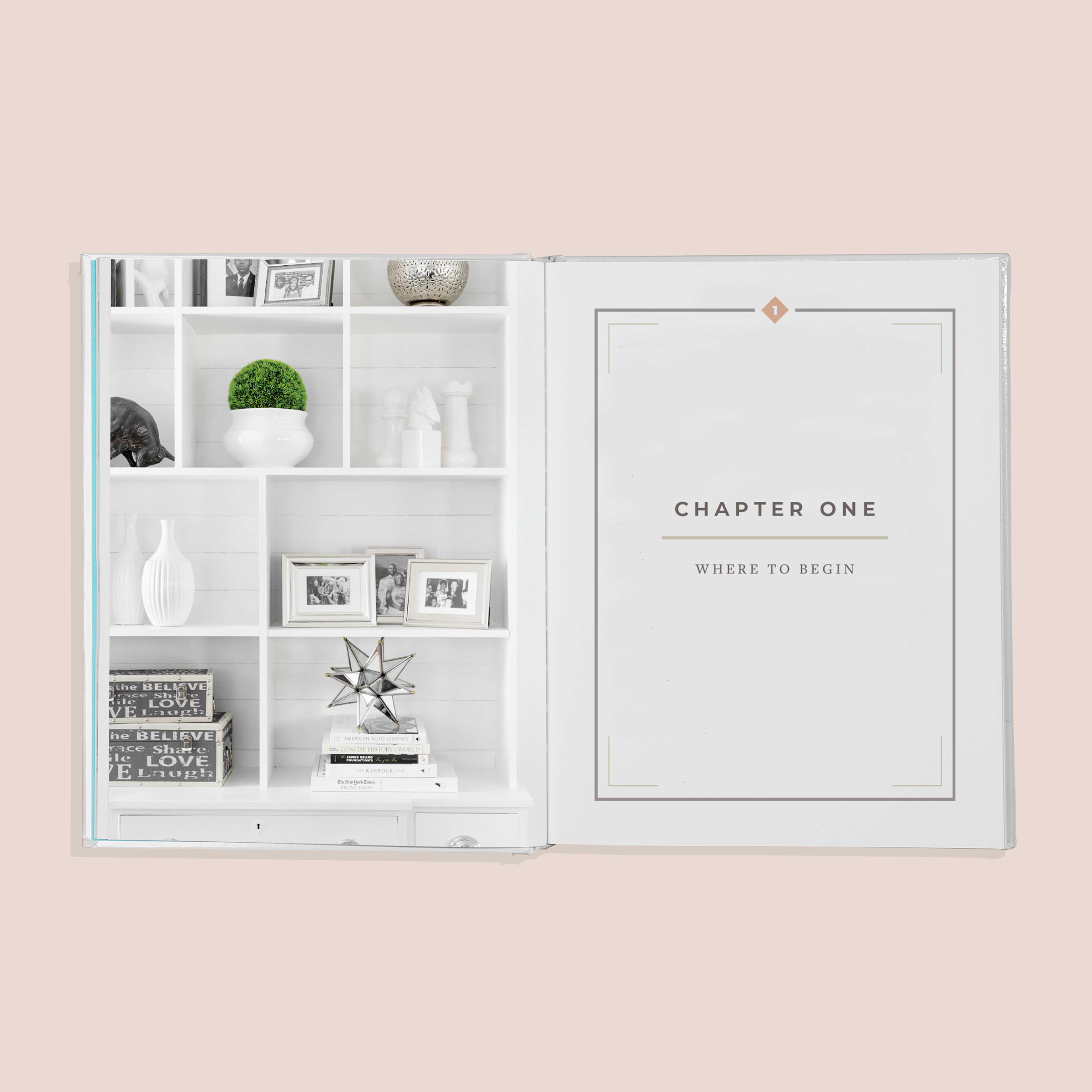 Beautifully Organized (White Coffee Table Books) Paige Tate & Co.