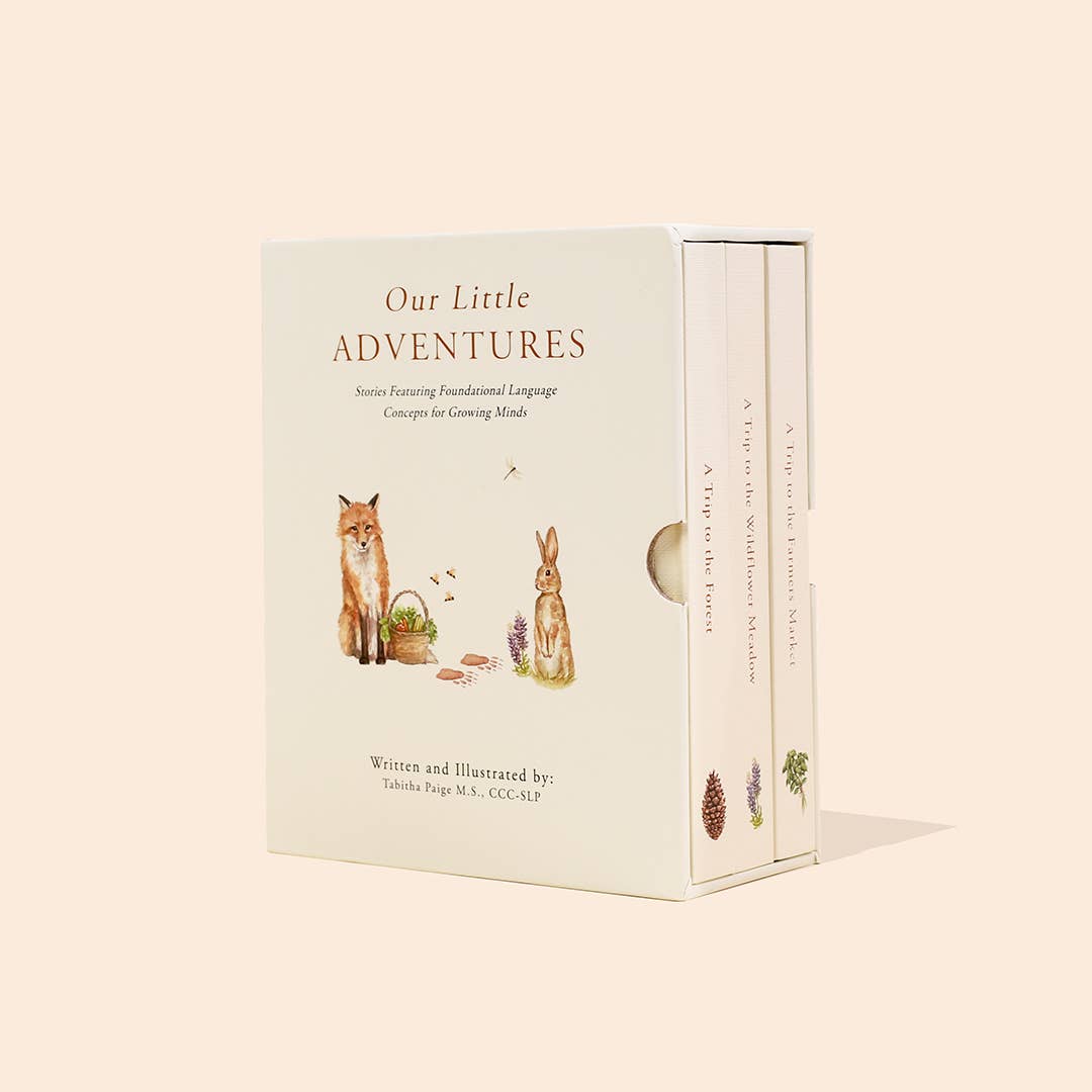 Our Little Adventures Board Book Box Set for Kids Paige Tate & Co.