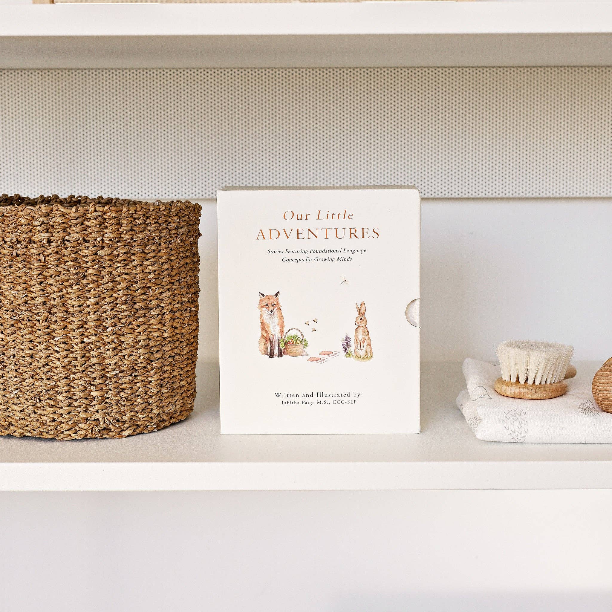 Our Little Adventures Board Book Box Set for Kids Paige Tate & Co.