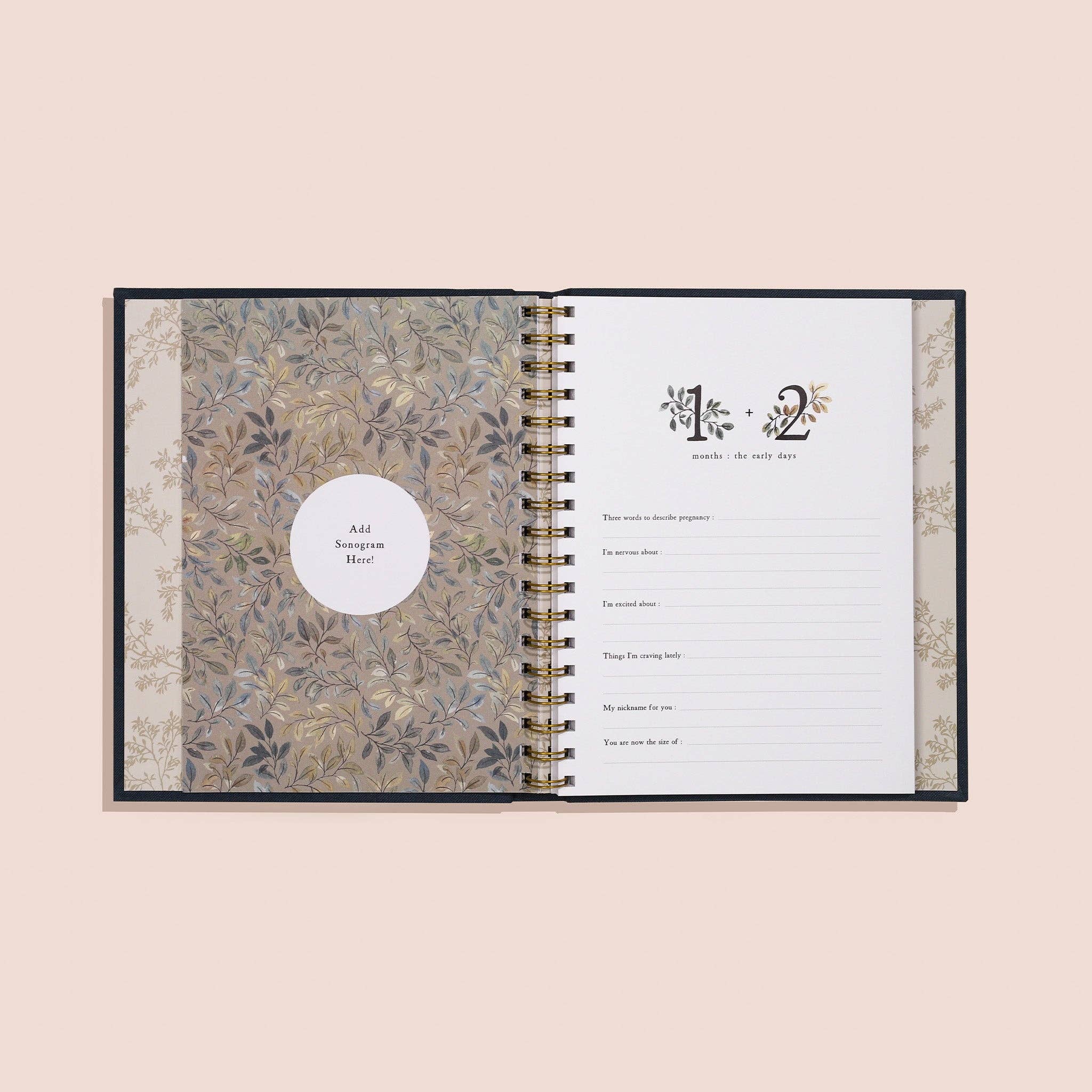 Growing You: Pregnancy Guided Journal and Keepsake Book Paige Tate & Co.