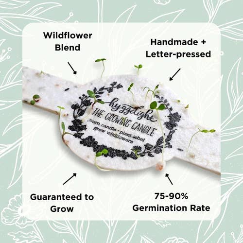 Astrid | Growing Candle, flower seed-label, eco-friendly Hyggelight | The Growing Candle ®