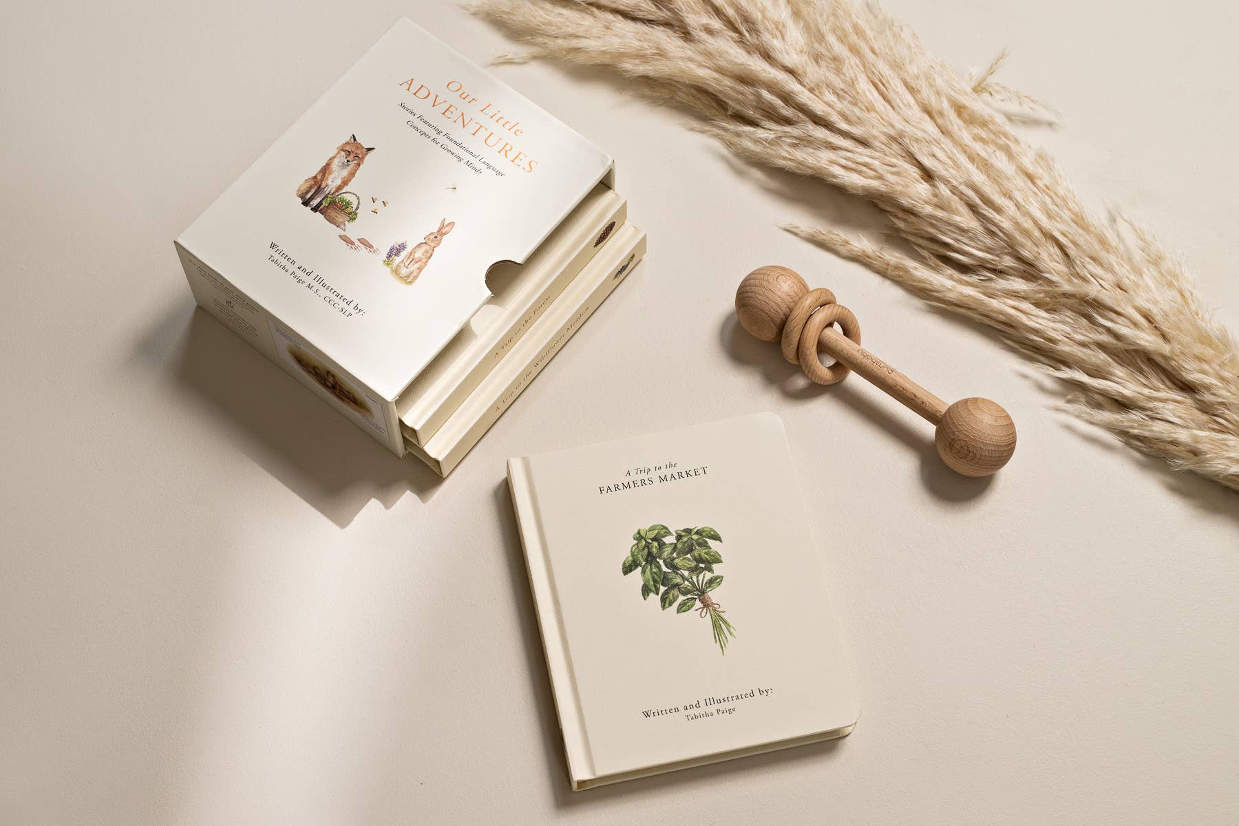 Our Little Adventures Board Book Box Set for Kids Paige Tate & Co.