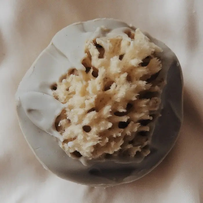 Ash House soap Sea Siren Sea Sponge Soap Ash House