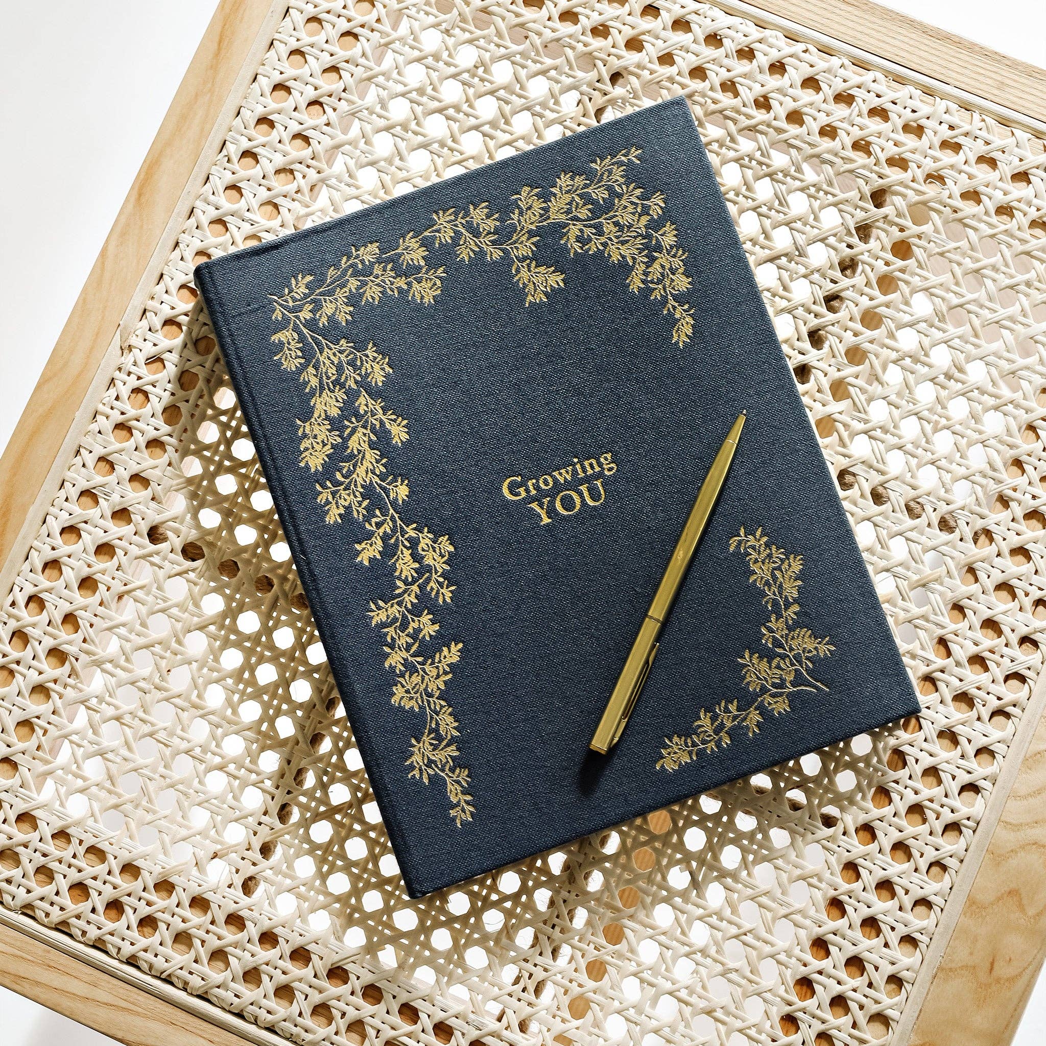 Growing You: Pregnancy Guided Journal and Keepsake Book Paige Tate & Co.