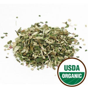 Echinacea Starwest, Mountain Rose