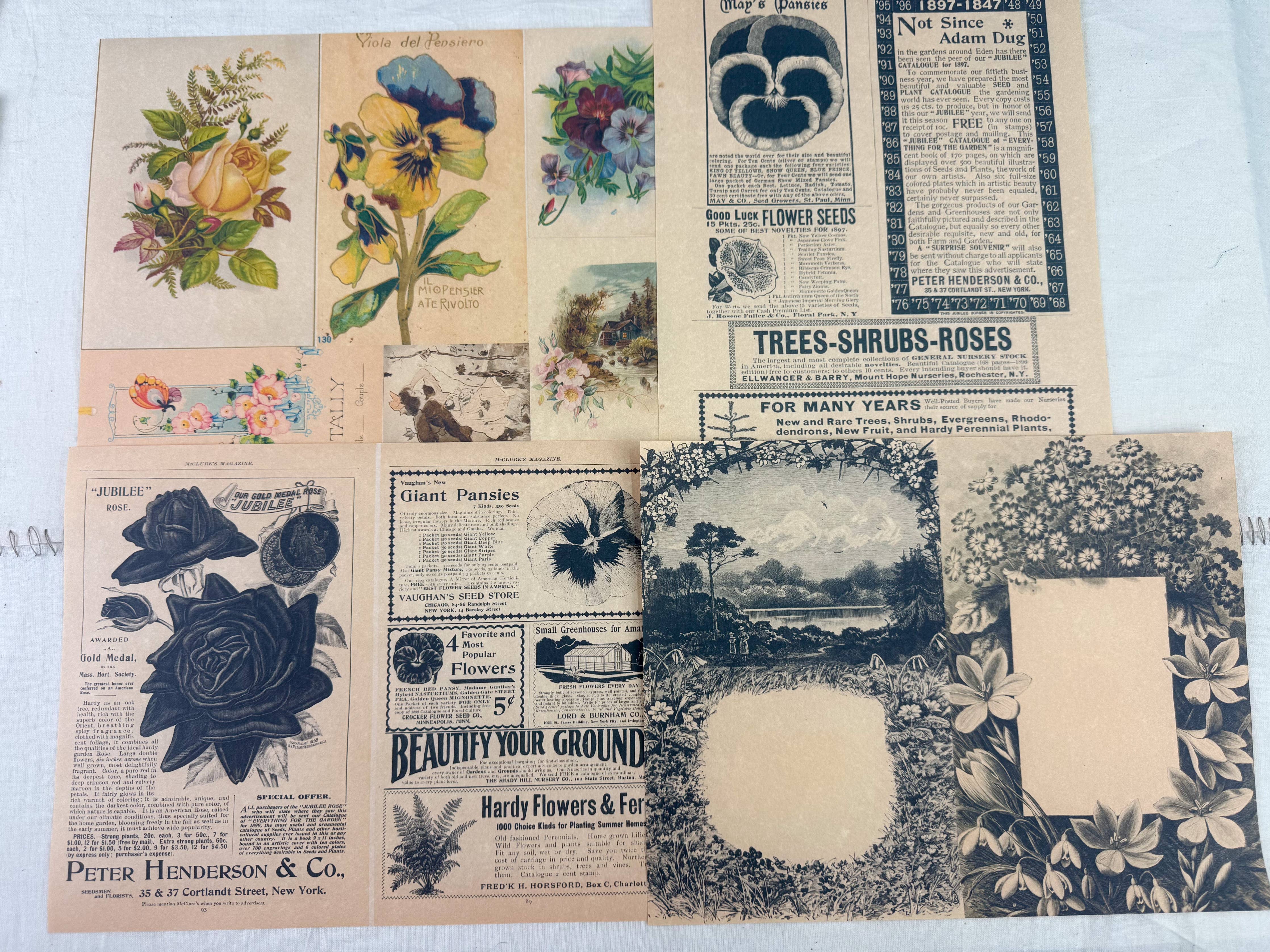 Botanical & Nature Ephemera Kit | Junk Journal Supplies | Vintage Floral Collage A House of Books