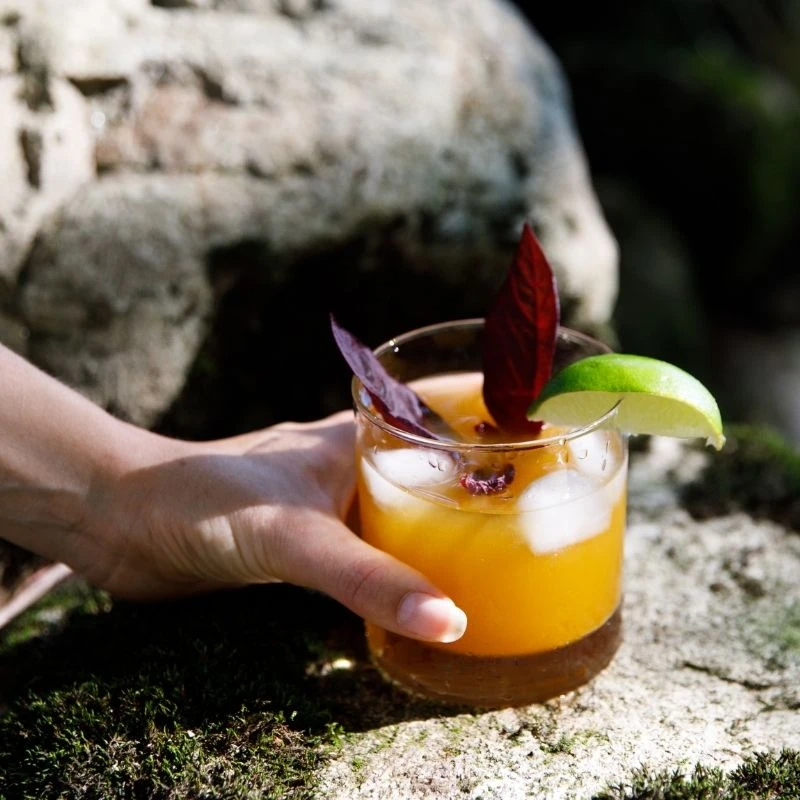 Turmeric Tonic: Raw ACV w/ Mother, Joint & Digestive Support