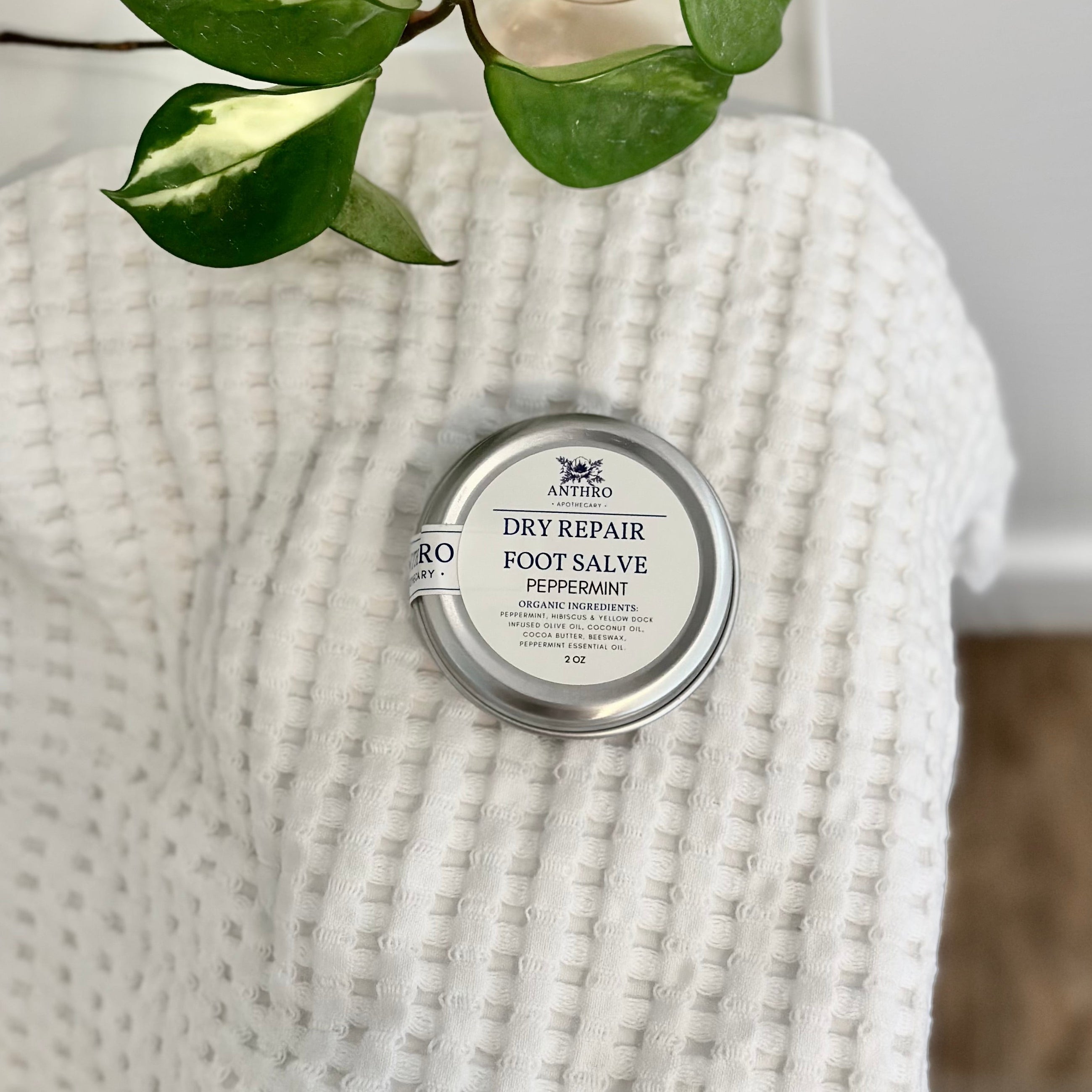 Foot Salve Anthro Apothecary