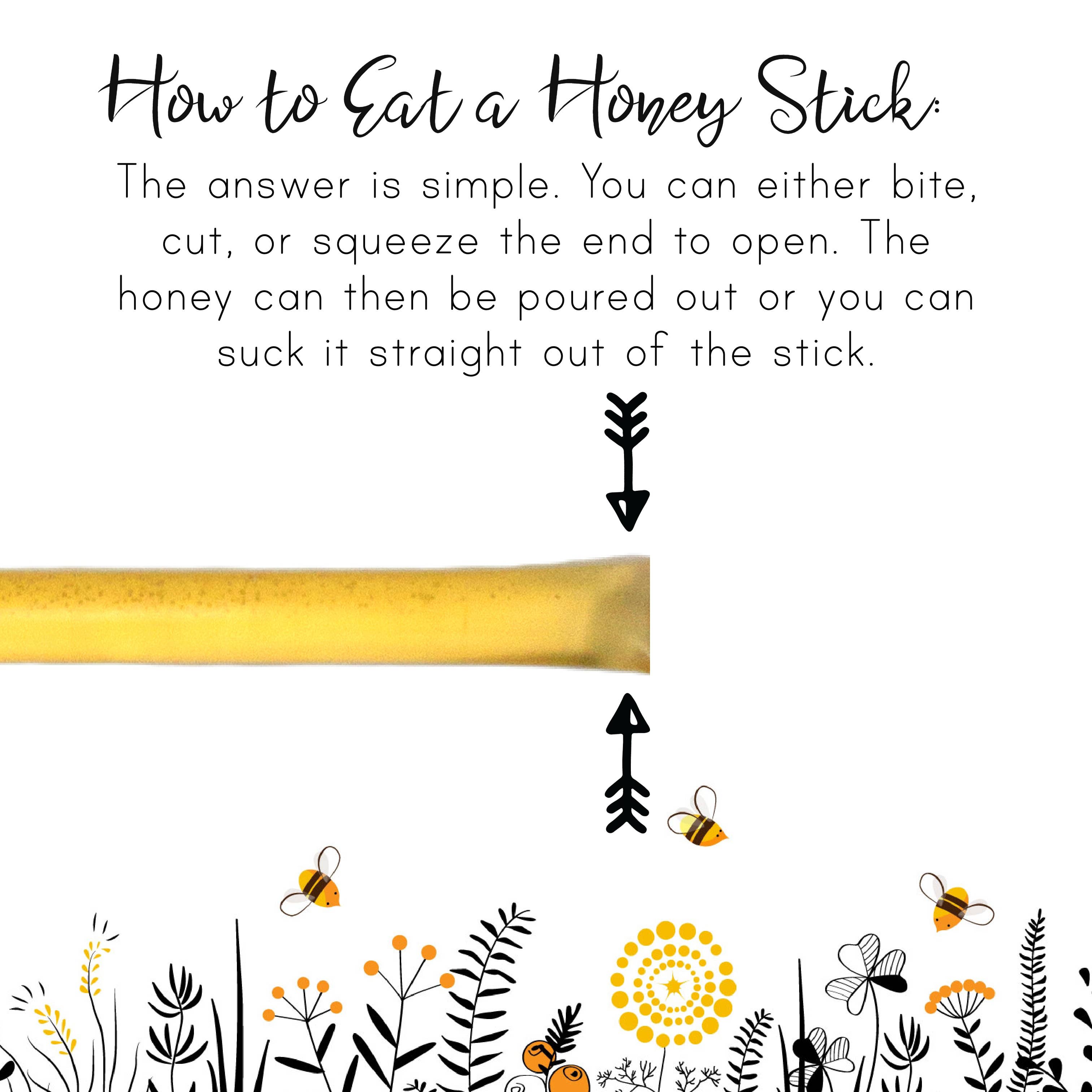 Michigan Raw Honey Sticks 3 Pack