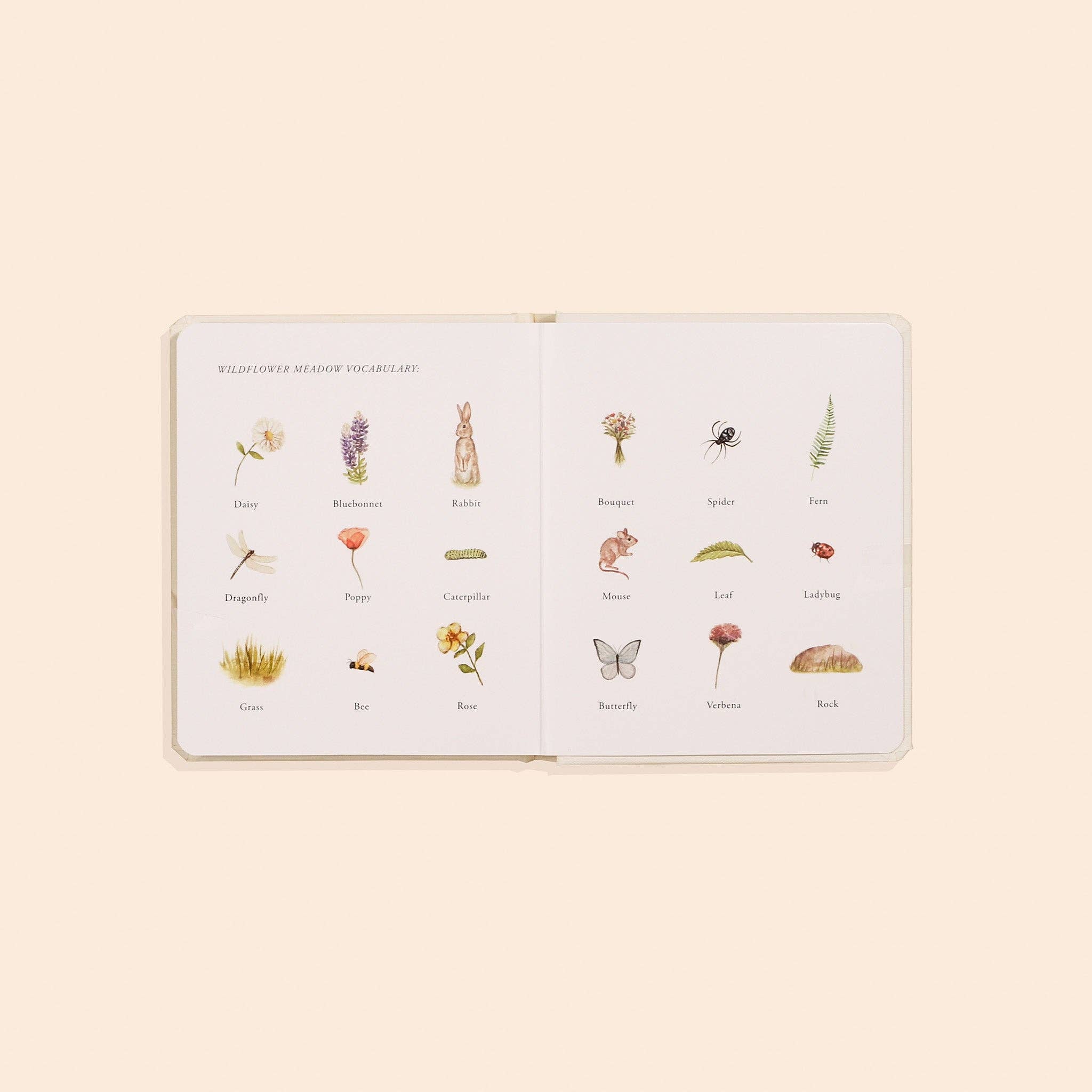 Our Little Adventures Board Book Box Set for Kids Paige Tate & Co.