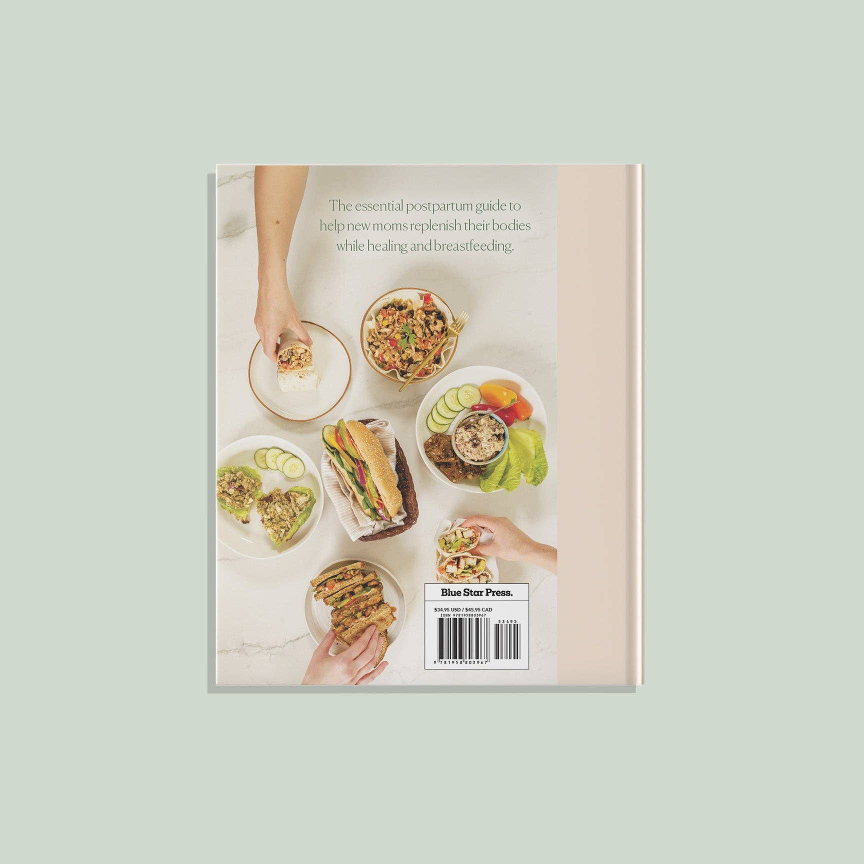 The Postpartum Nutrition Cookbook (New Mom, Baby Shower) Paige Tate & Co.