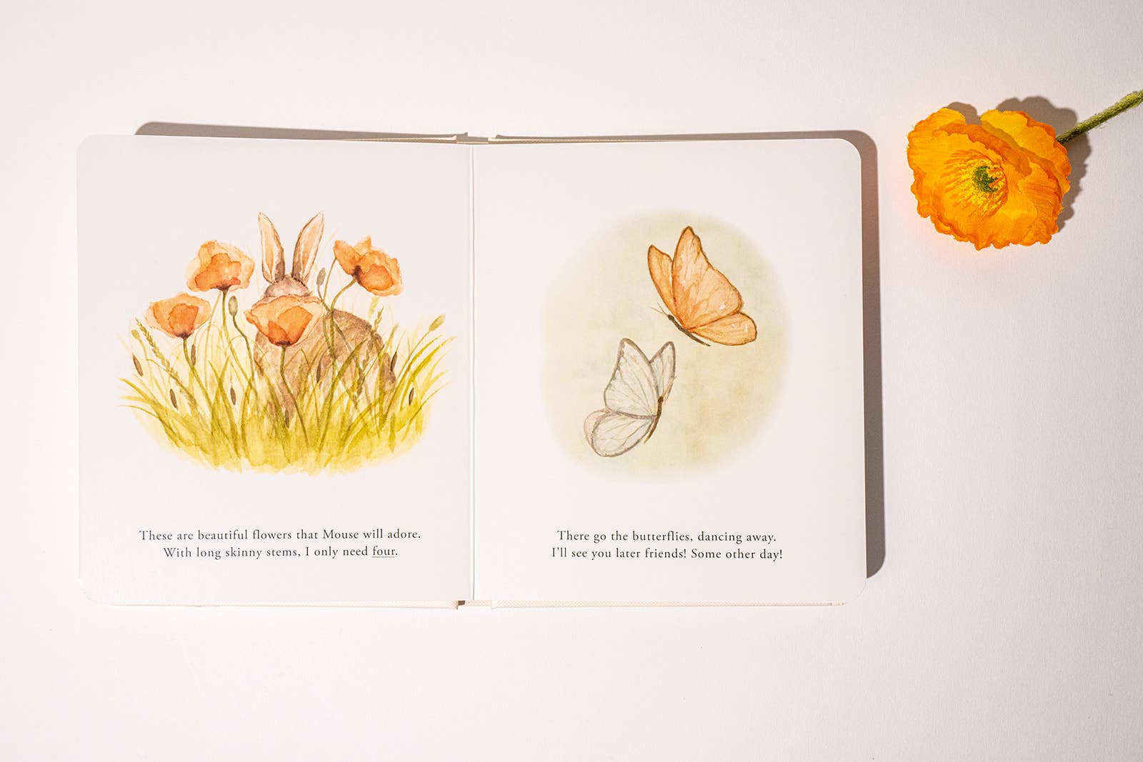 Our Little Adventures Board Book Box Set for Kids Paige Tate & Co.
