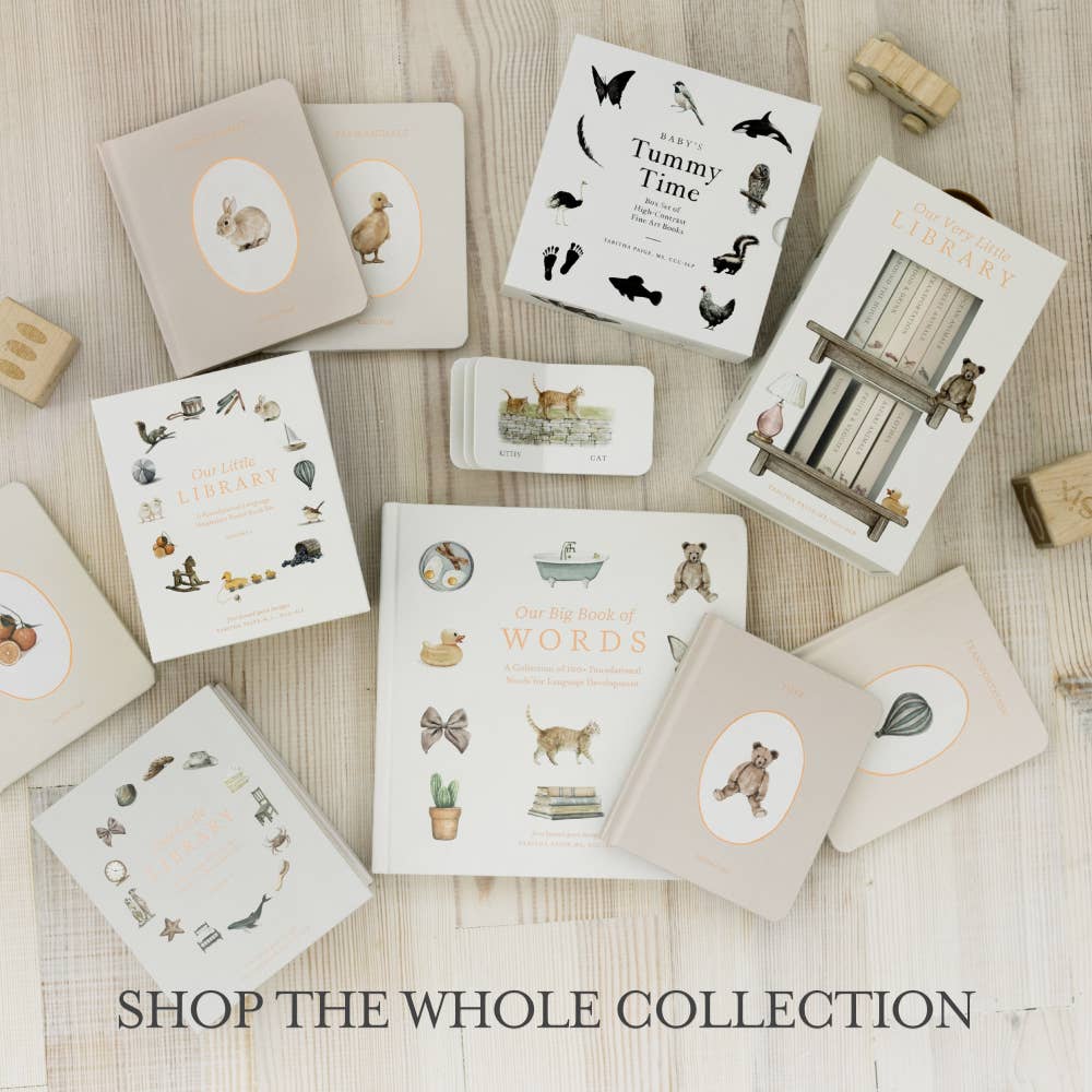 Our Little Adventures Board Book Box Set for Kids Paige Tate & Co.