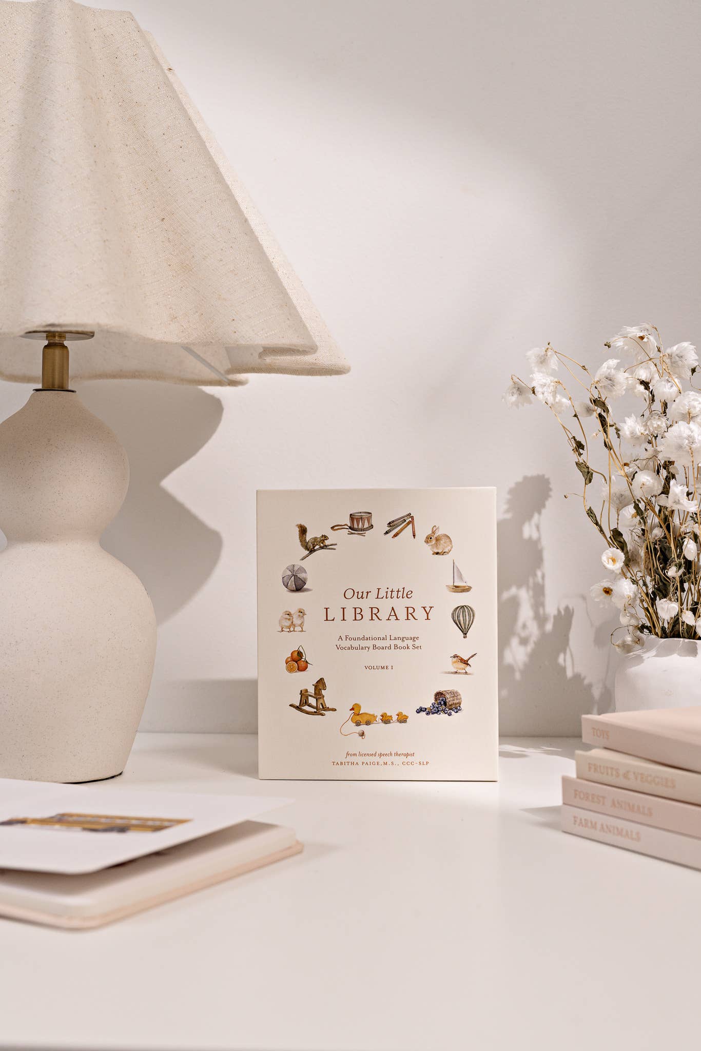 Our Little Library Vol. 1 (5 Board Book Box Set) Paige Tate & Co.