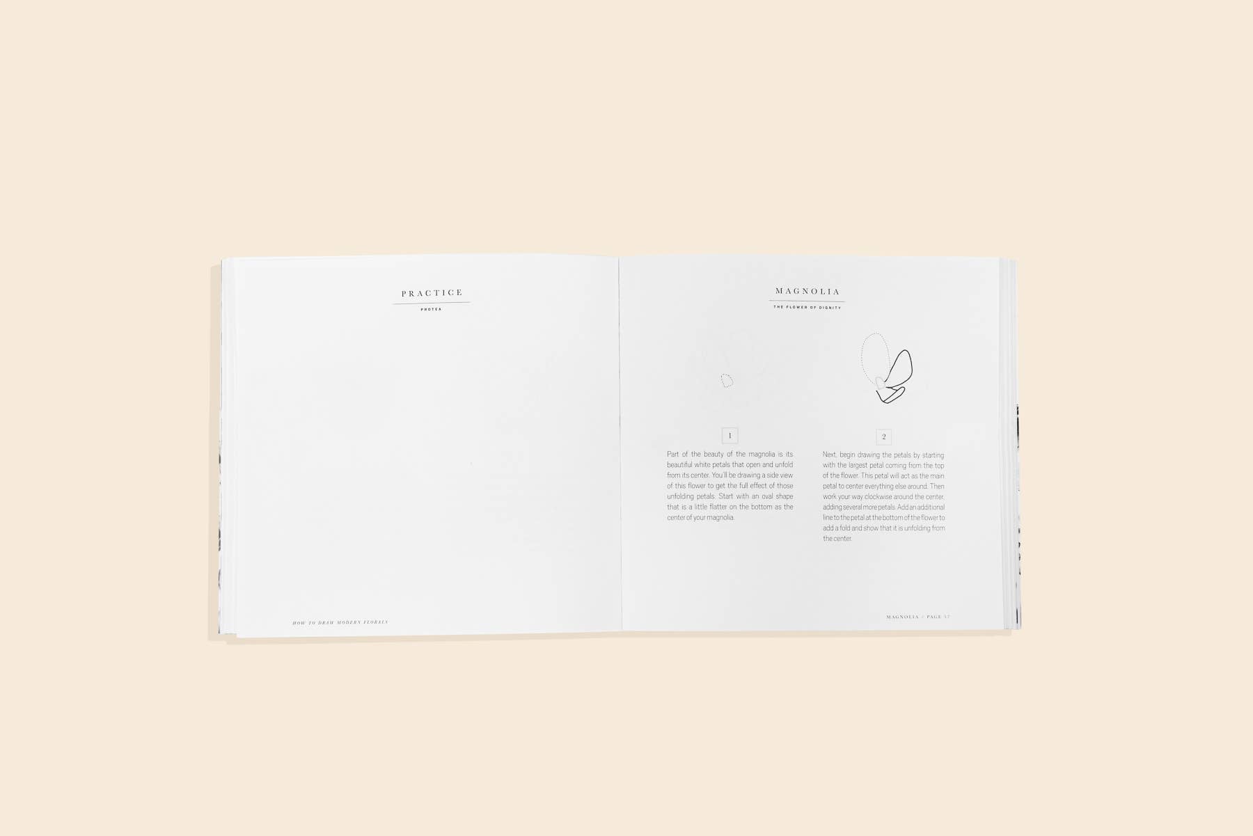 How to Draw Modern Florals Paige Tate & Co.
