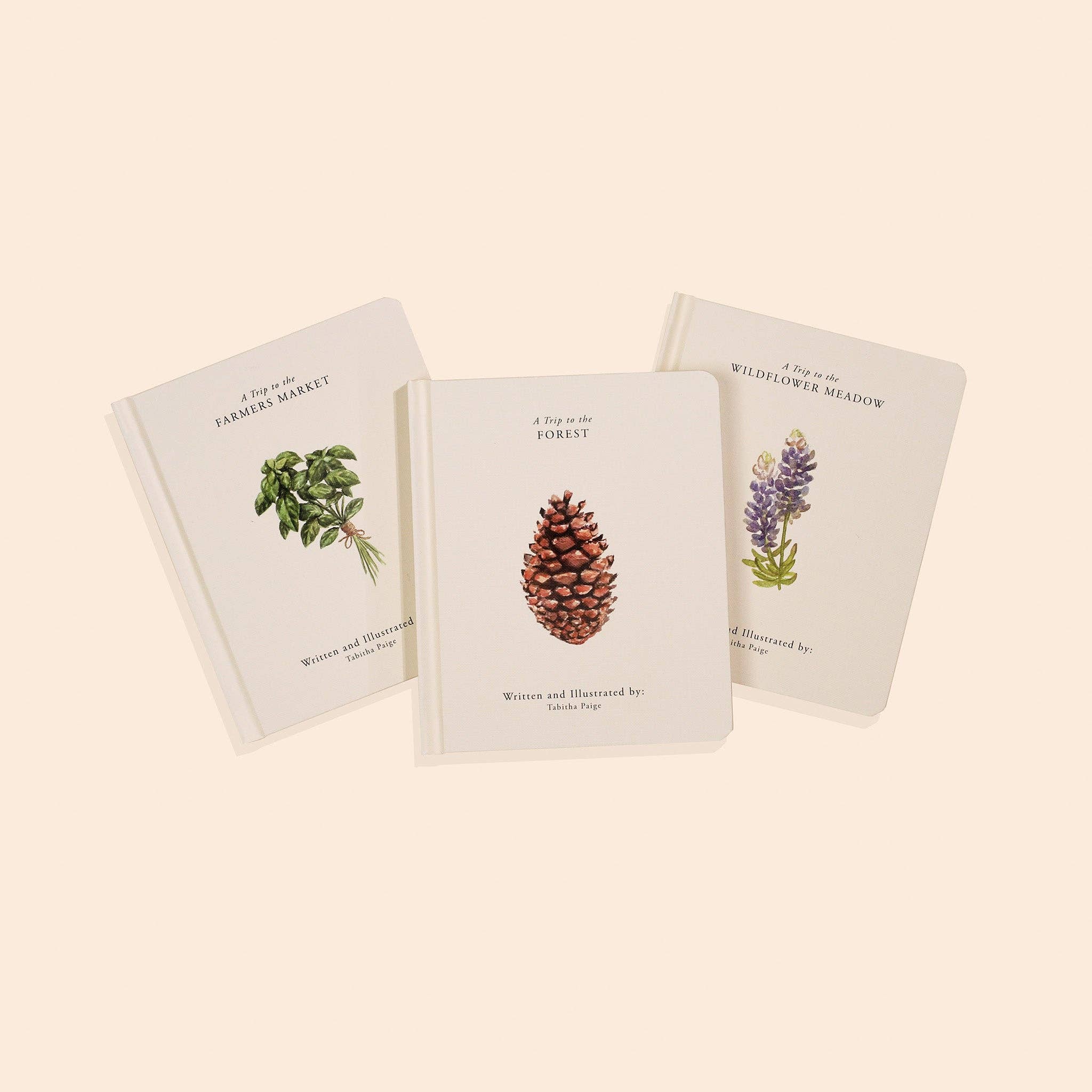 Our Little Adventures Board Book Box Set for Kids Paige Tate & Co.