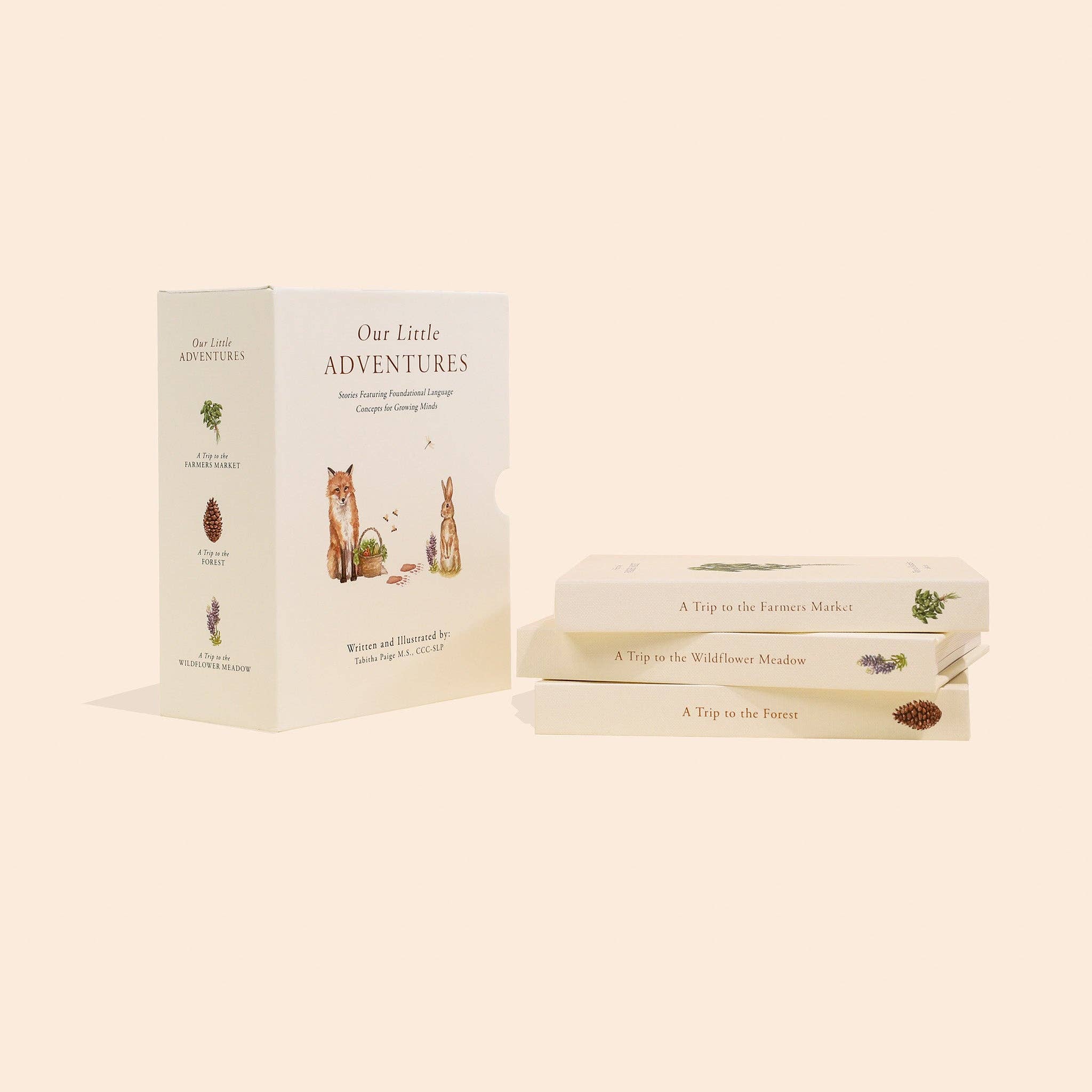 Our Little Adventures Board Book Box Set for Kids Paige Tate & Co.