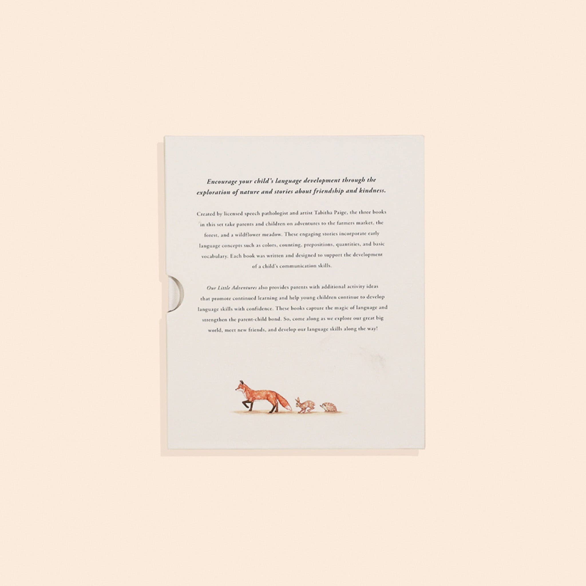 Our Little Adventures Board Book Box Set for Kids Paige Tate & Co.