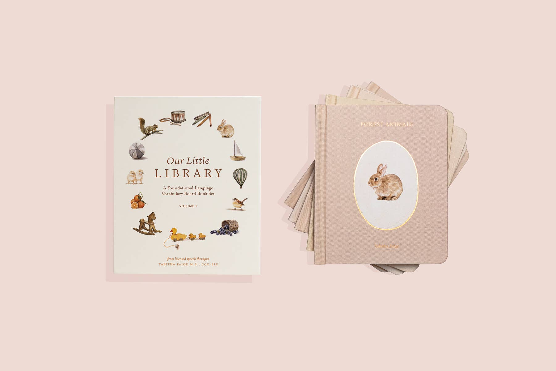 Our Little Library Vol. 1 (5 Board Book Box Set) Paige Tate & Co.