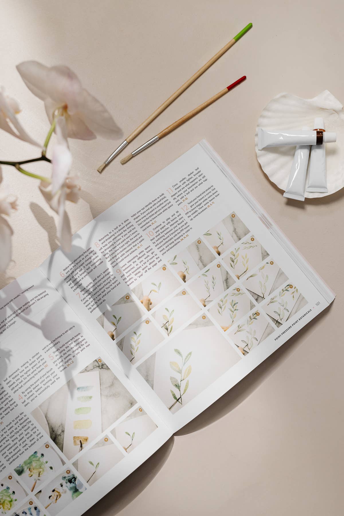 A How-to Watercolor Book: Modern Watercolor Botanicals Paige Tate & Co.