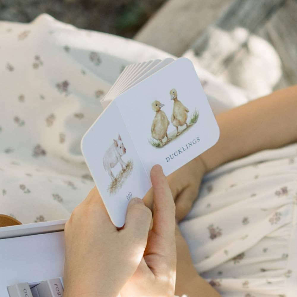 Our Very Little Library Board Book Set Paige Tate & Co.