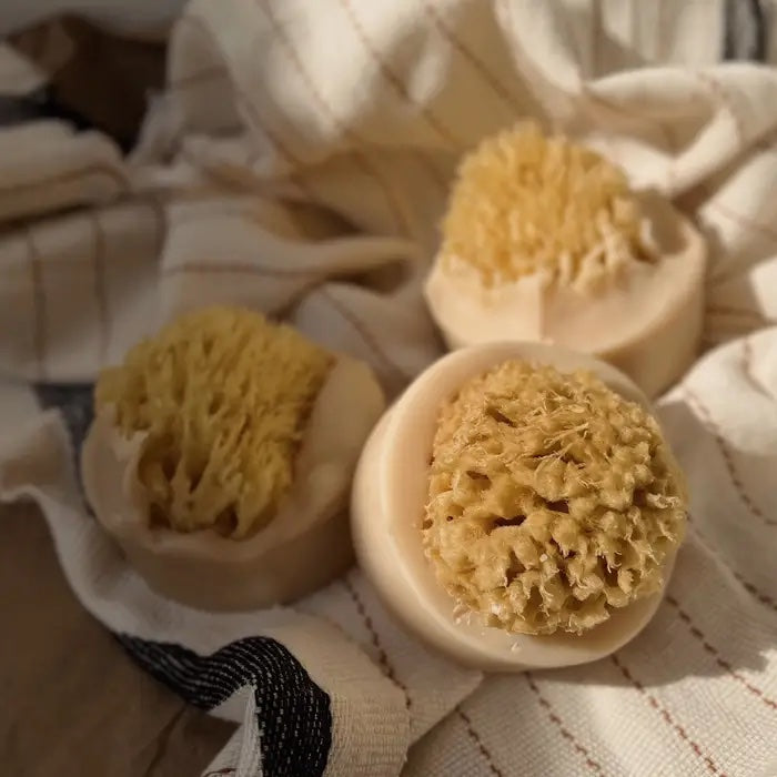 Ash House soap Santal Beach Sea Sponge Ash House