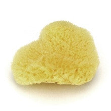 Silk Sea Sponge Starwest