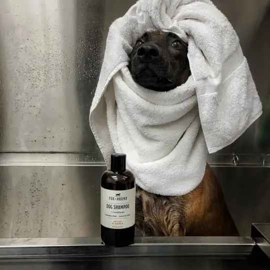 Dog Shampoo & Conditioner Fox & Hound